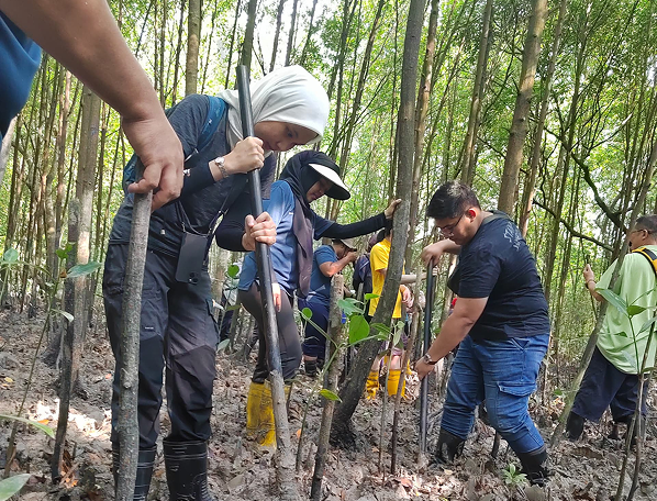 Mangrove Tree Planting 03